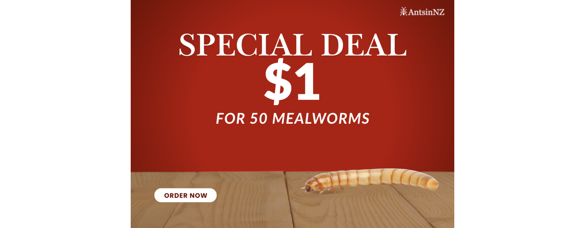 mealworm